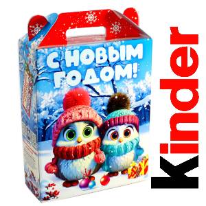 Детский подарок на Новый Год в жестяной упаковке весом 830 грамм по цене 3297 руб в Анадыре